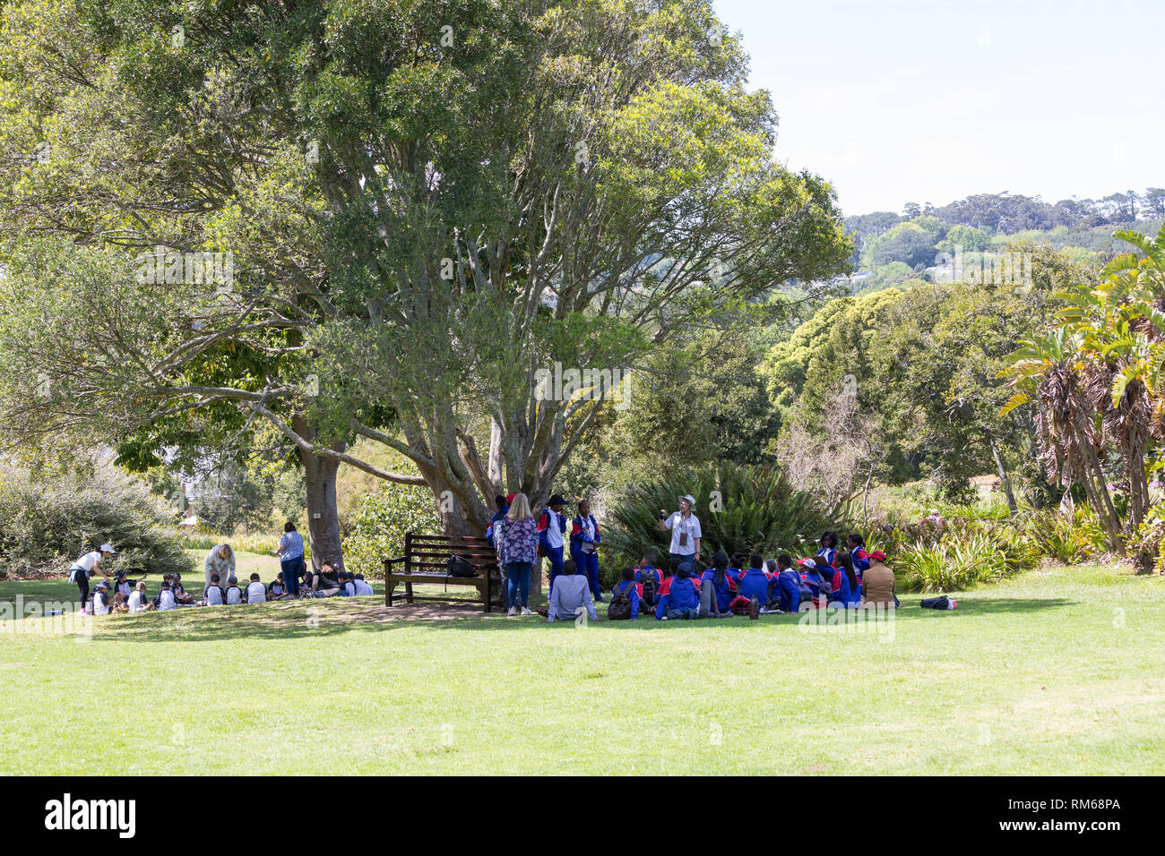Groups of schoolchildren on an outing to Kirstenbosch Botanical Gardens, Cape Town with teachers learning the importance of plants and conservation Stock Photo