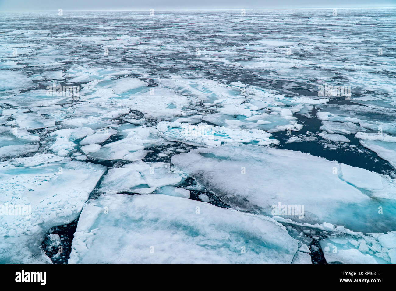 Arctic Sea ice floe. Photographed in Spitsbergen, Svalbard, Norway Stock Photo
