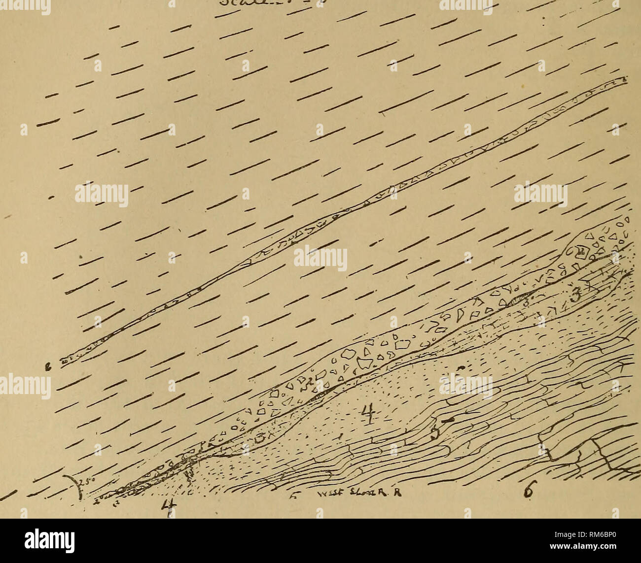 Annual Report Of The Regents New York State Museum Science - 