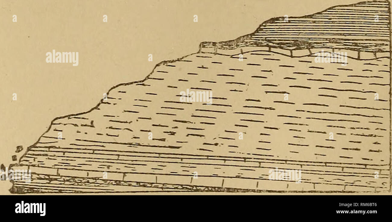 Annual Report Of The Regents New York State Museum Science - 