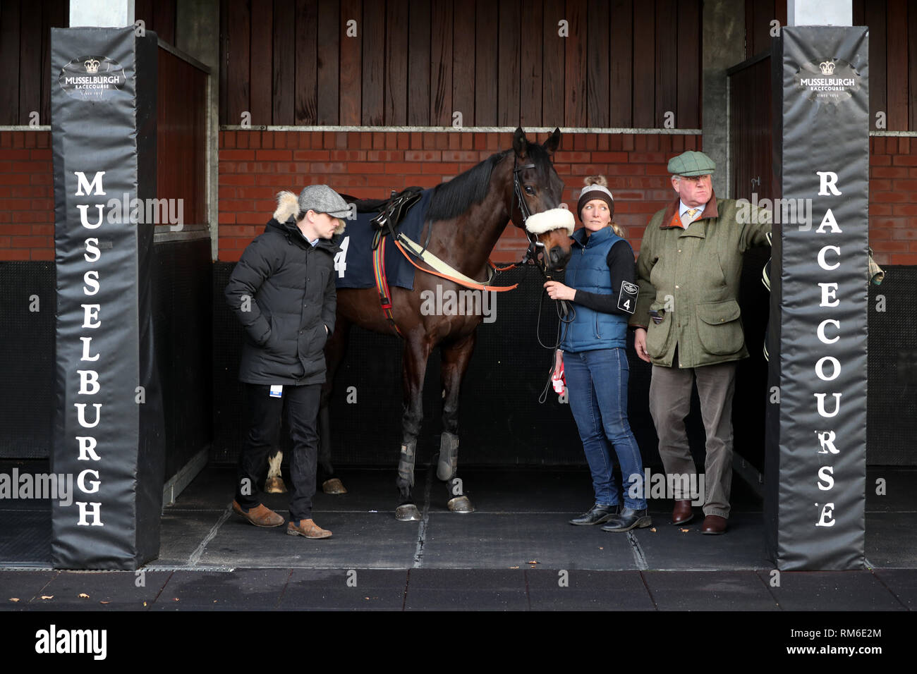 Would You Bypass Me In The Paddock Ahead Of The Betway Mares Maiden Hurdle At Musselburgh Racecourse Stock Photo Alamy Bypassme new bypass software for pubg mobile emulator 2019. alamy