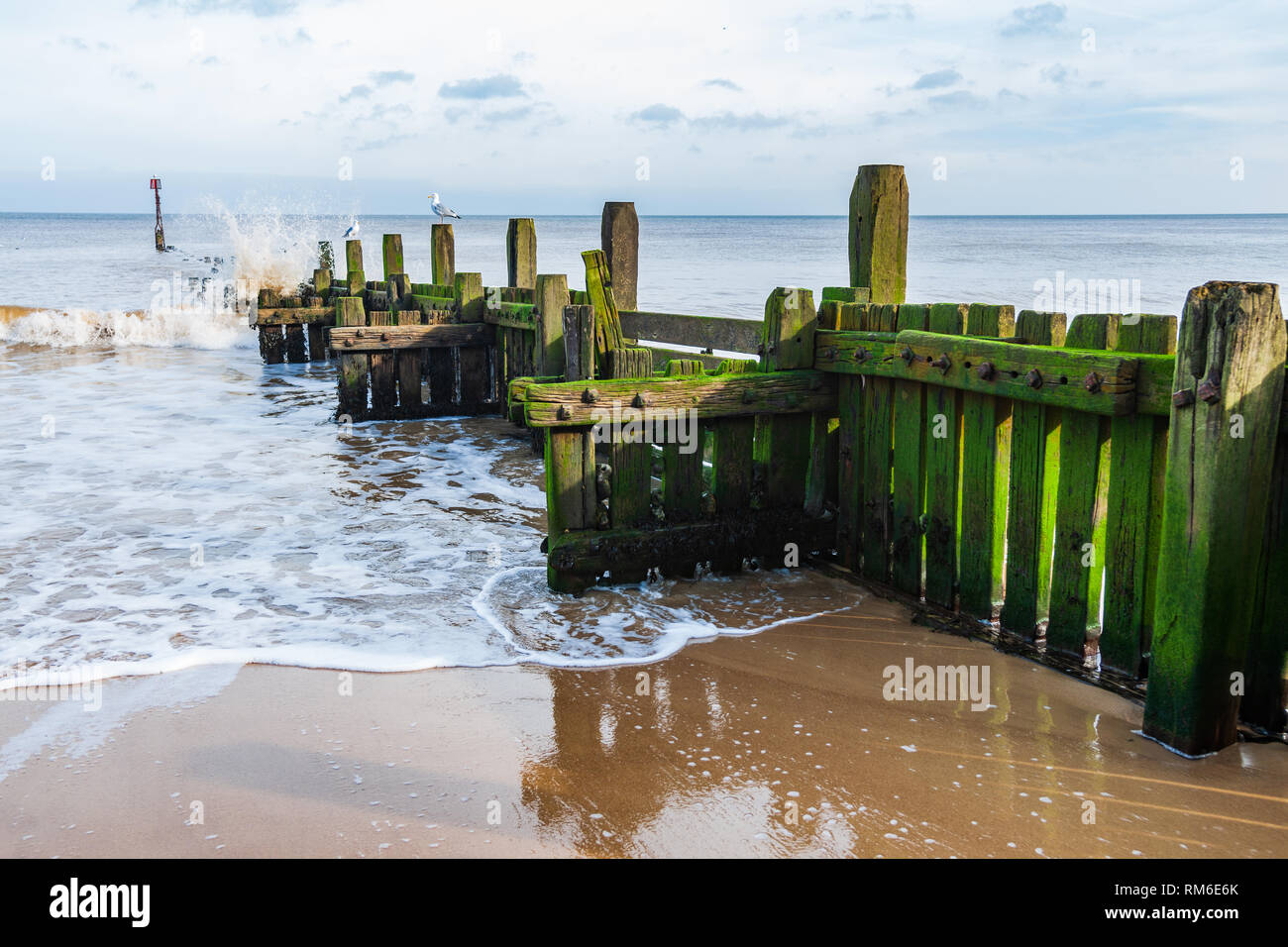 wooden beach groynes, coastal sea defences at overstrand on the norfolk