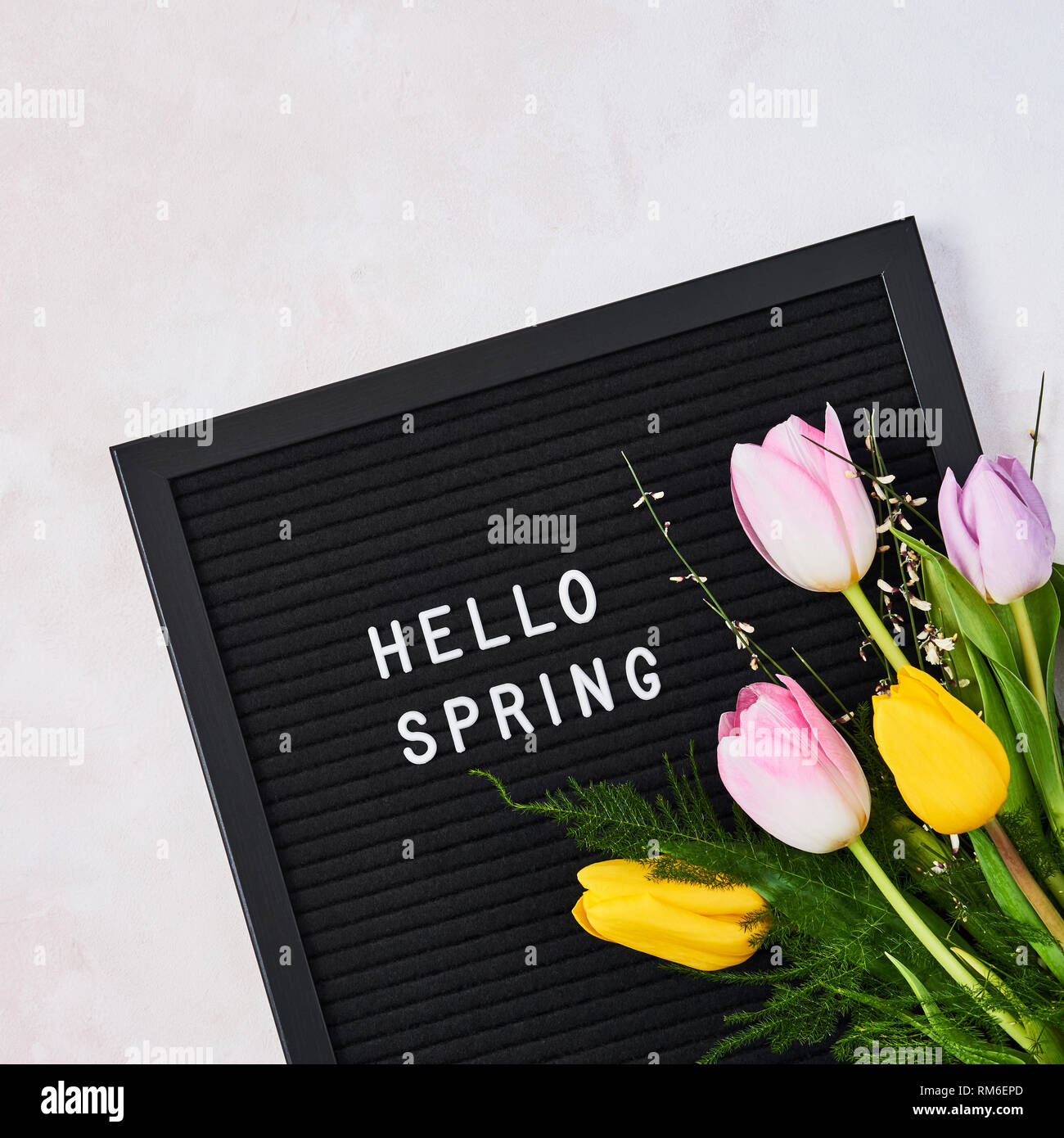 Spring concept. Pink and yellow tulips on letterboard with quote Hello Spring over pink background. Top view with copy space for text. Flat lay. Squar Stock Photo