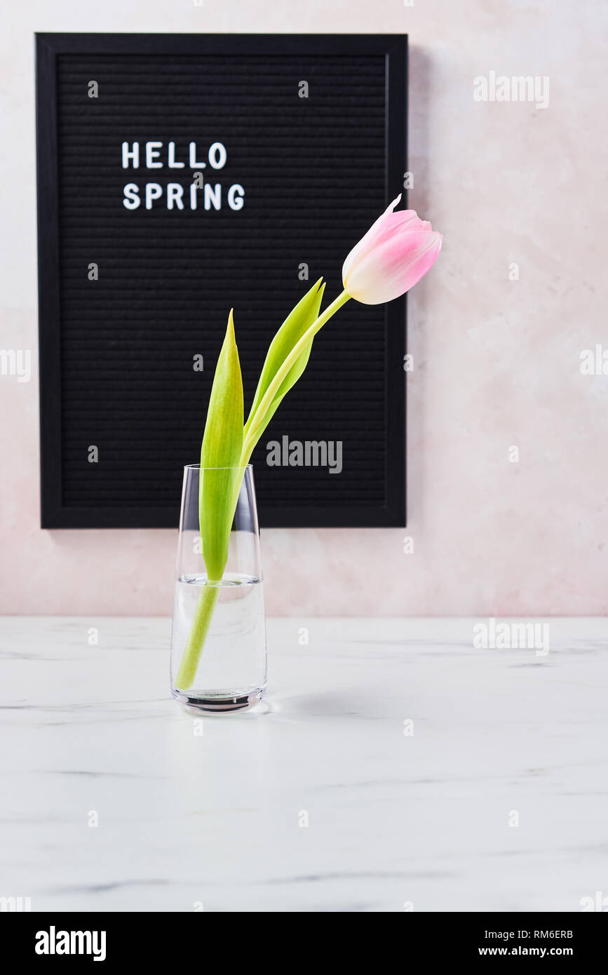 Spring Concept Pink Tulip Flower In A Glass Vase On White Marble Table And Black Letterboard With Quote Hello Spring Over Pink Background Copy Space Stock Photo Alamy