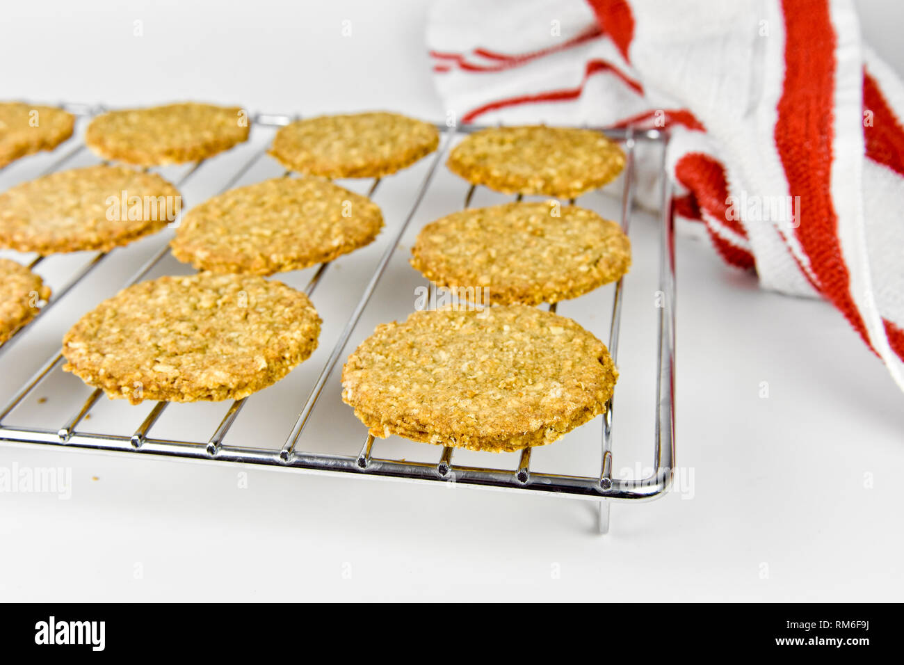 Freshly baked homemade digestive biscuits on cooling rack Stock Photo