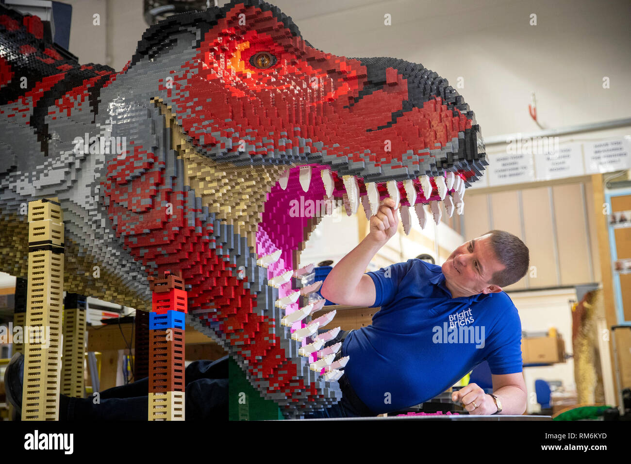Bright Bricks member of staff Ed Diment works on a life-size T-Rex made out of LEGO during a press preview of Marwell Zoo's new Lego Brickosaurs at Bright Bricks HQ in Bordon, Hampshire. Stock Photo