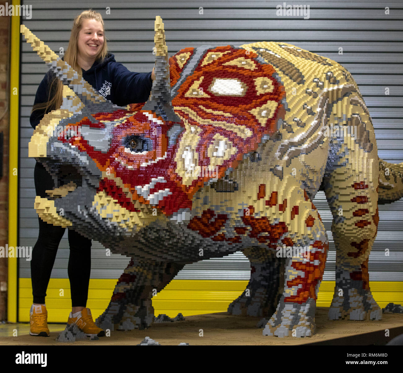 Bright Bricks member of staff Zoe Aris works on one of the brick dinosaurs made out of LEGO during a press preview of Marwell Zoo's new Lego Brickosaurs at Bright Bricks HQ in Bordon, Hampshire. Stock Photo