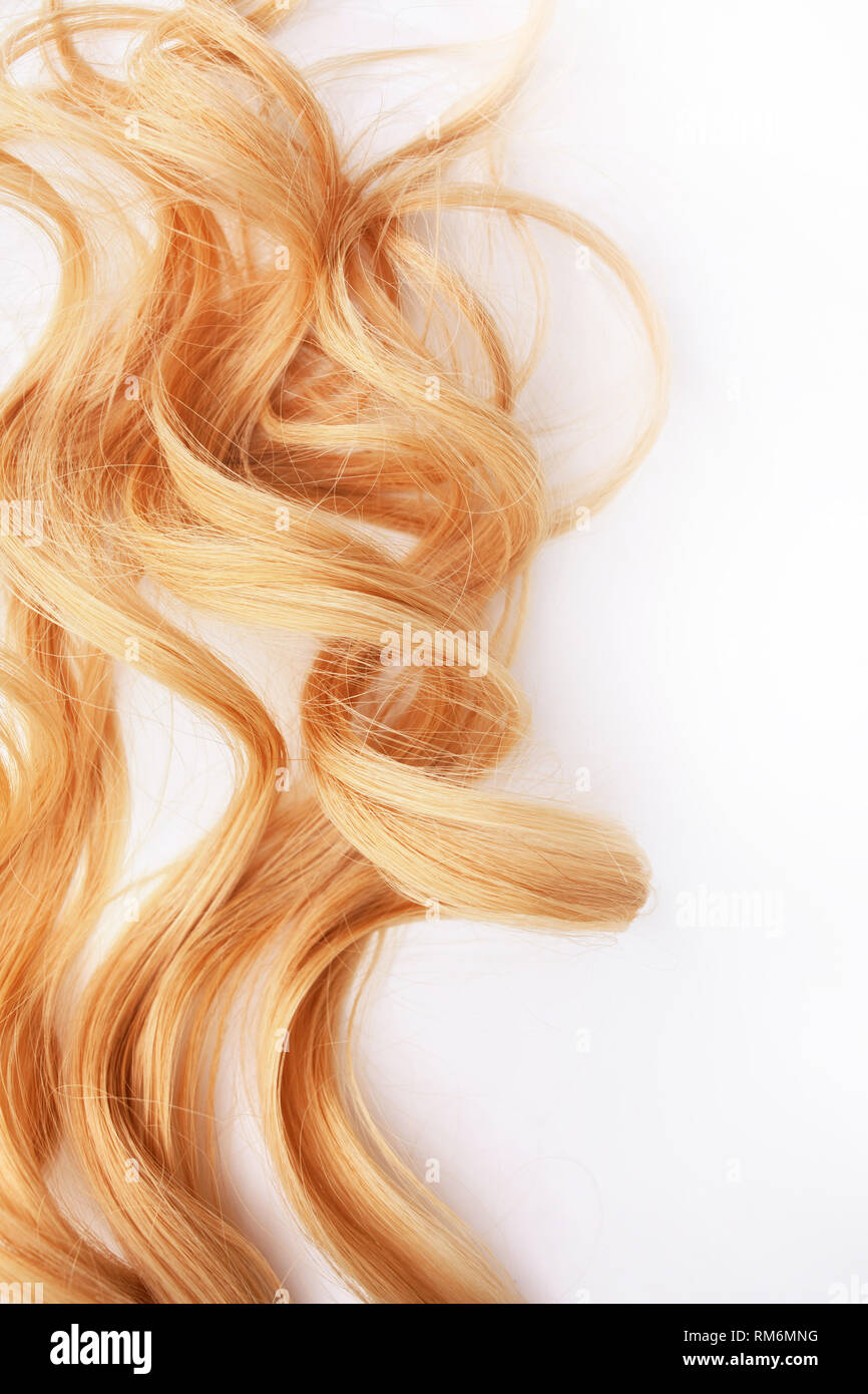 Golden Curls Hair Isolated On White Background Strand Of Blonde