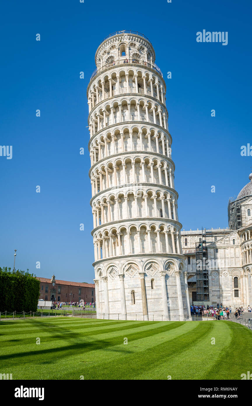 Vertical view of Pisa Tower ang bright green field near it. Toscana attractions, Italy Stock Photo