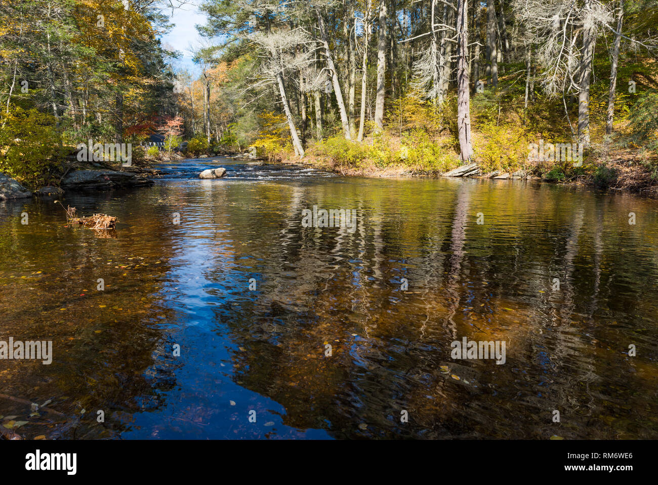 Vivid fall colors reflecting briefly in slow river pool in woods in upstate NY Stock Photo