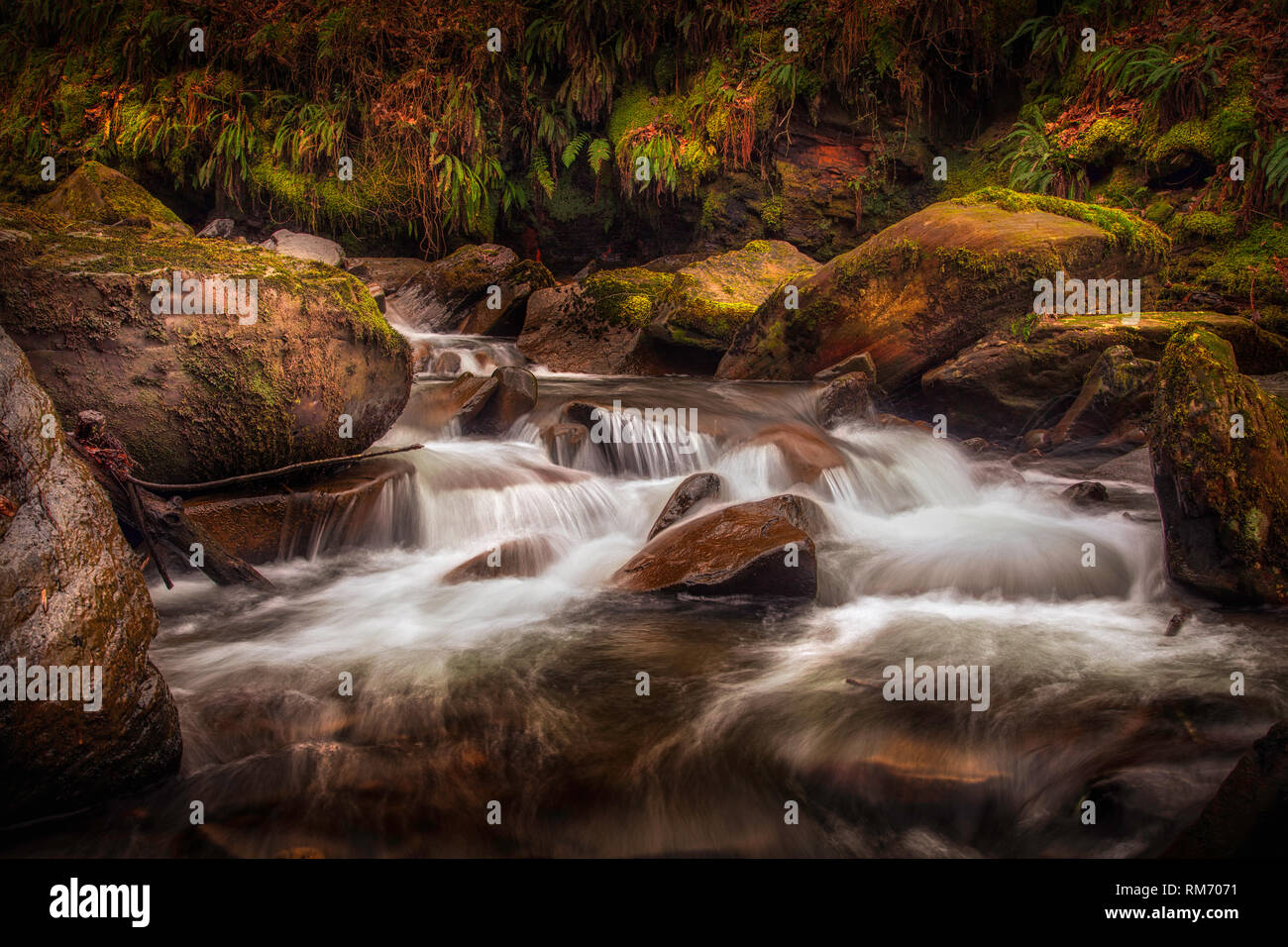 Melincourt Brook riverbed Stock Photo
