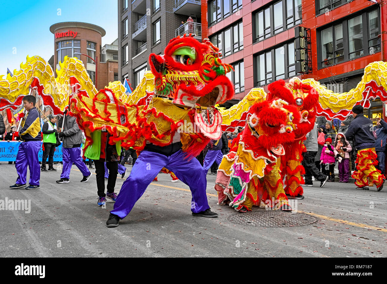 Lion Dancers, Chinese New Year Lunar New Year Parade, Chinatown, Vancouver, British Columbia, Canada Stock Photo