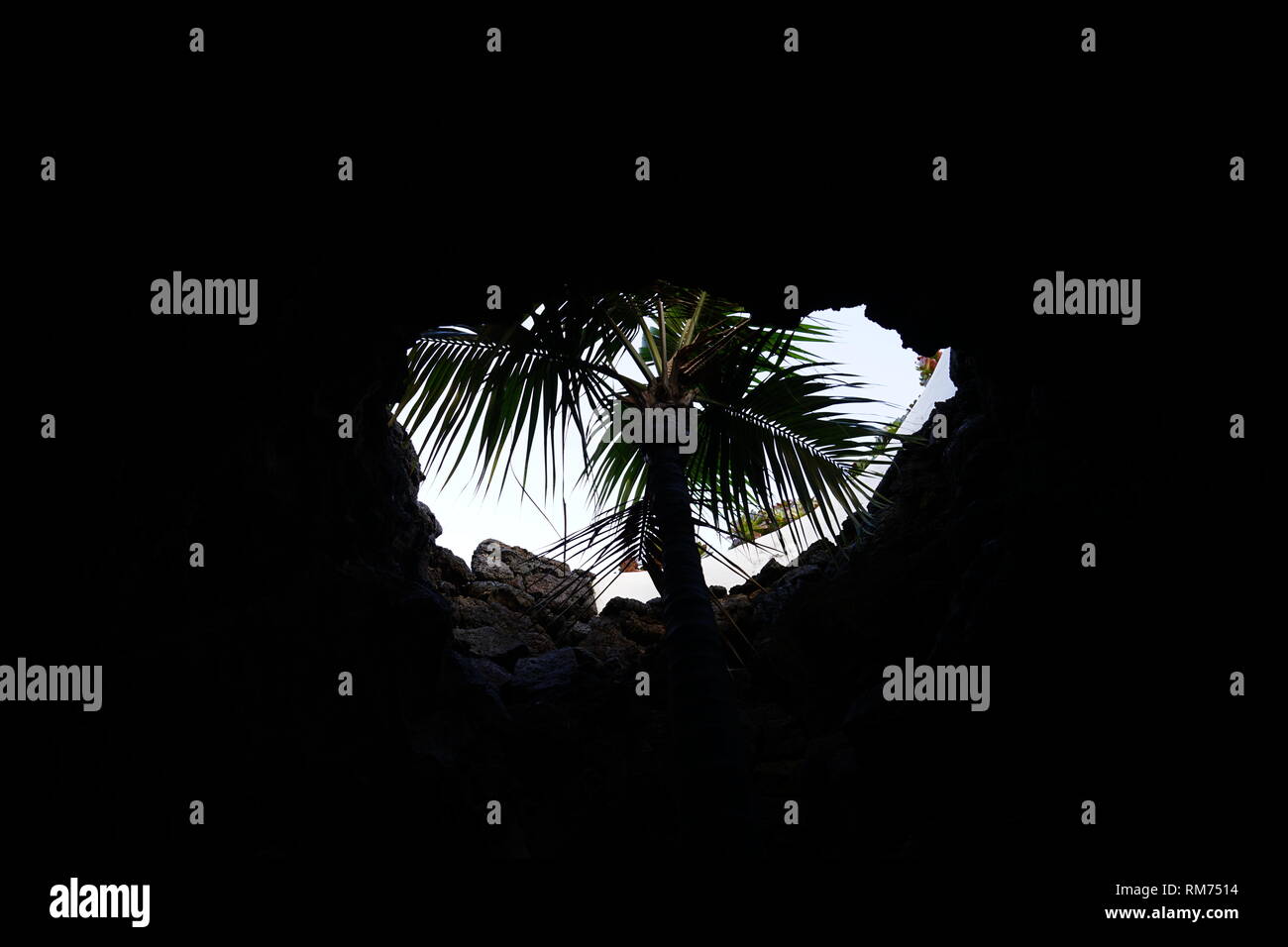 Weiße Blase mit Palme, Vulkanhaus, Fundación César Manrique,  Vulkan und Architektur, Museum, Tahiche, Lanzarote, Kanarische Inseln, Spanien Stock Photo