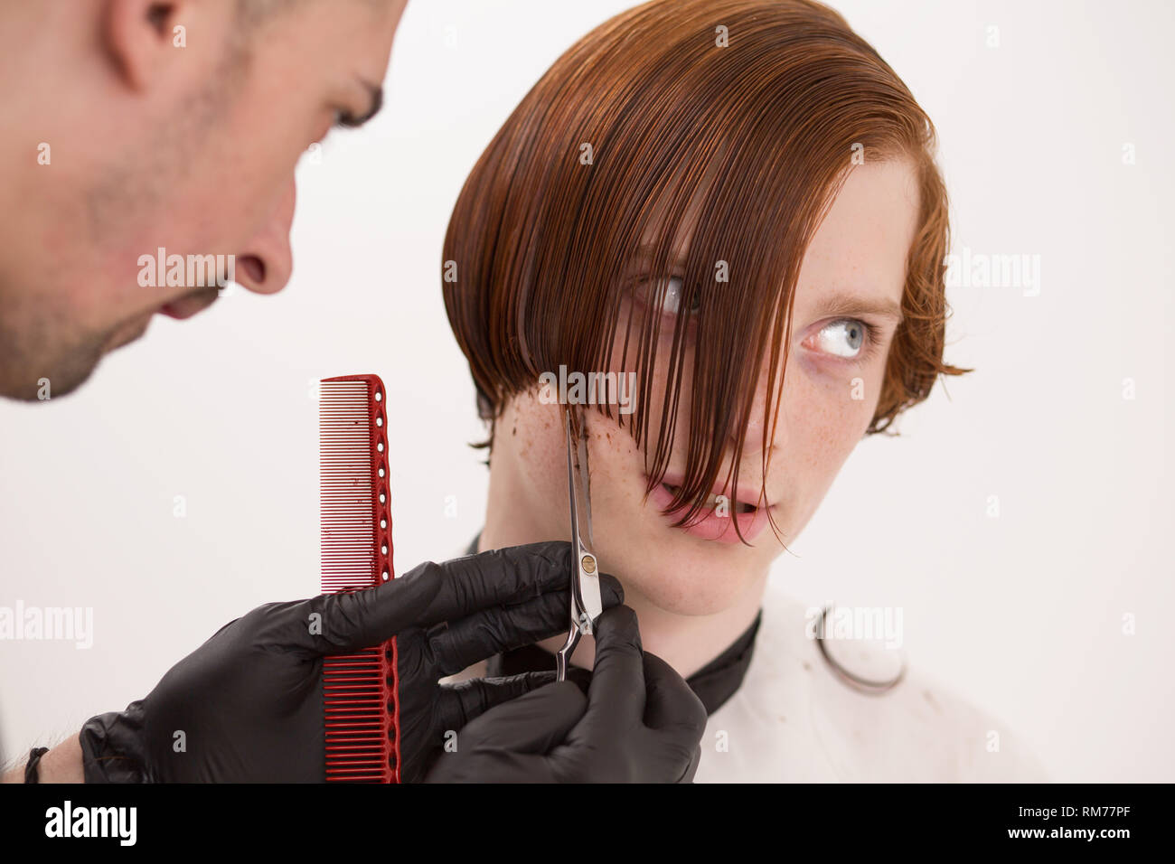 Barber is trimming client's hair with scissors Stock Photo