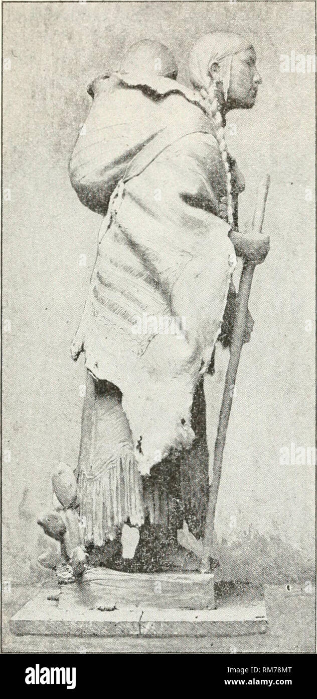 Annual Report Of The New York State College Of Agriculture At