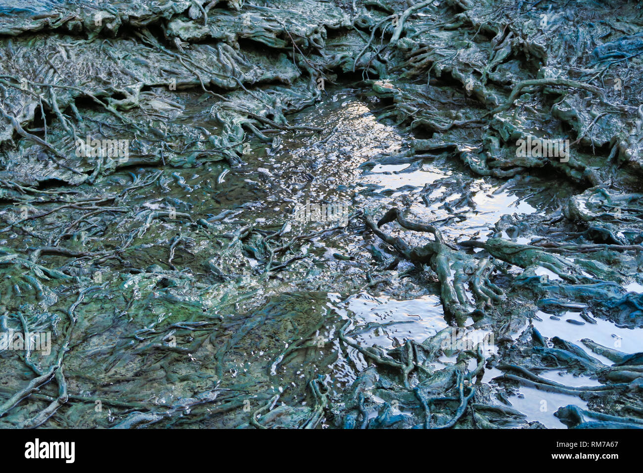 twisted tangled roots with flowing water scupture in City of London ...
