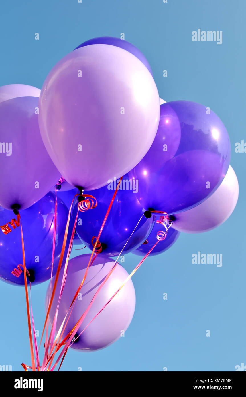 bunch of blue and violet balloons in the city festival,vertical composition Stock Photo