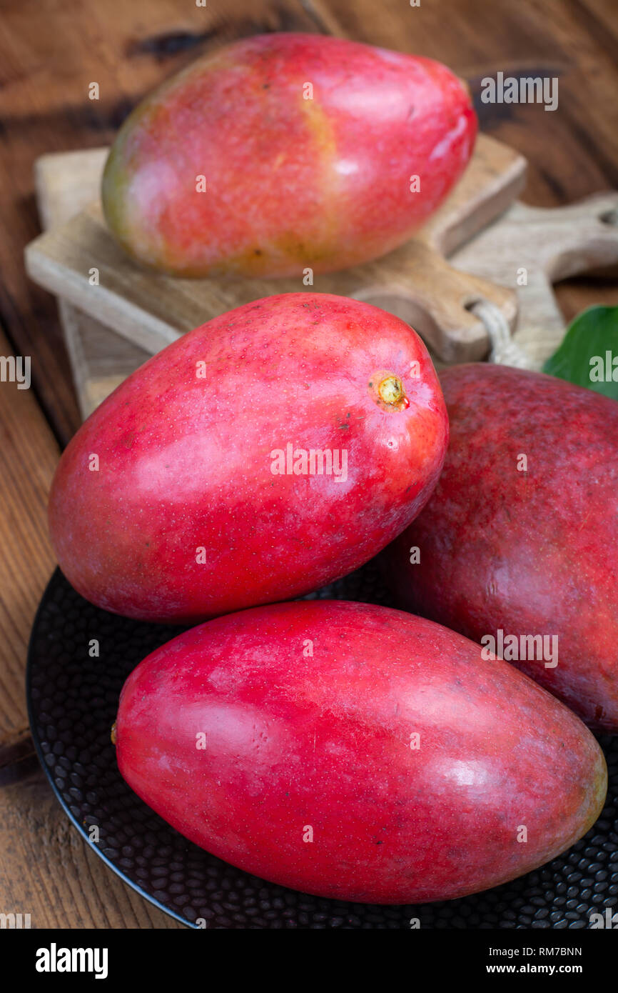 National fruit of India, Pakistan, and Philippines tropical organic ripe red  mango ready to eat close up Stock Photo - Alamy