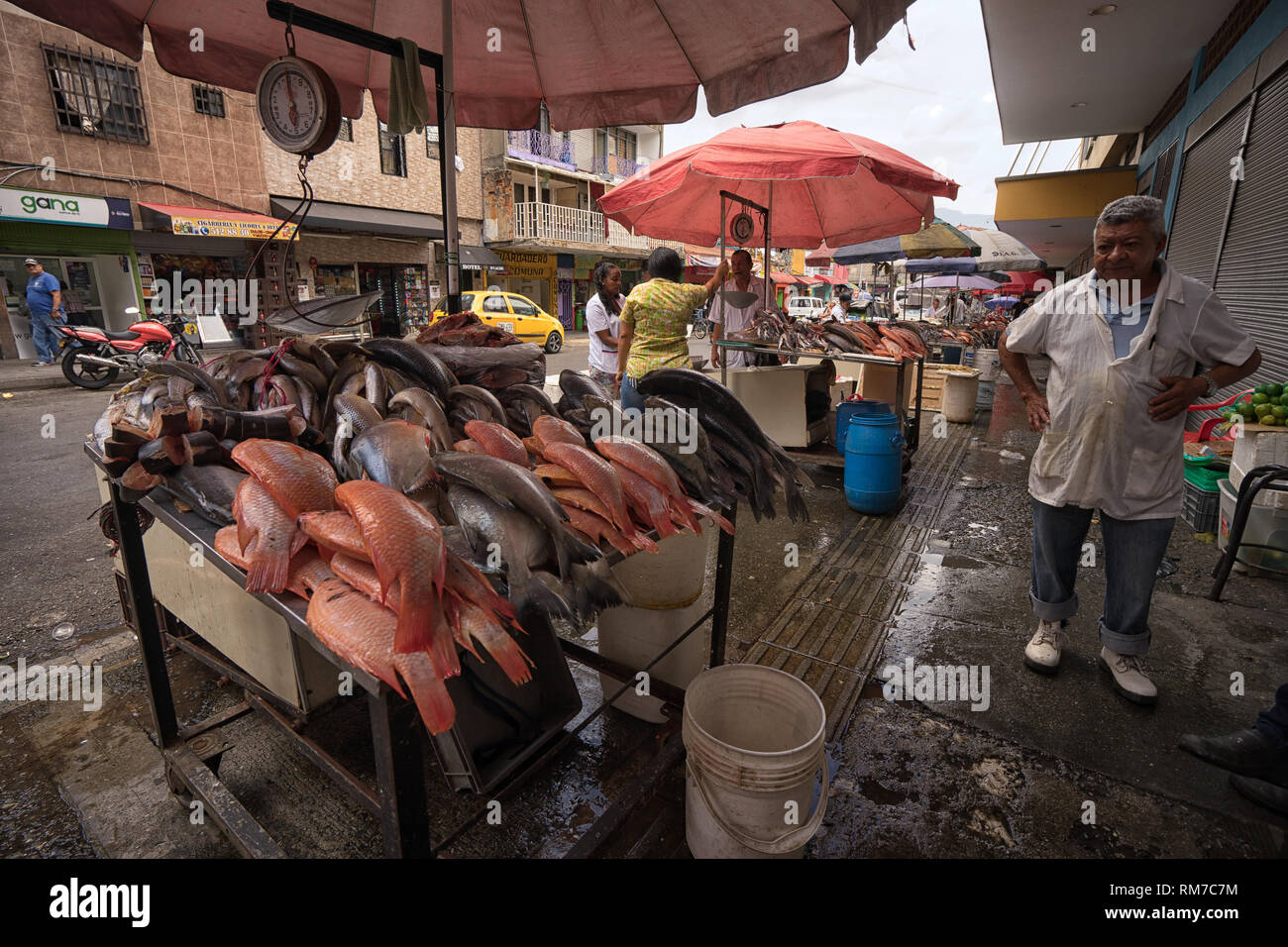 Medellin, Colombia - July 26, 2018: outdoor fish market in the Prado area of the city Stock Photo