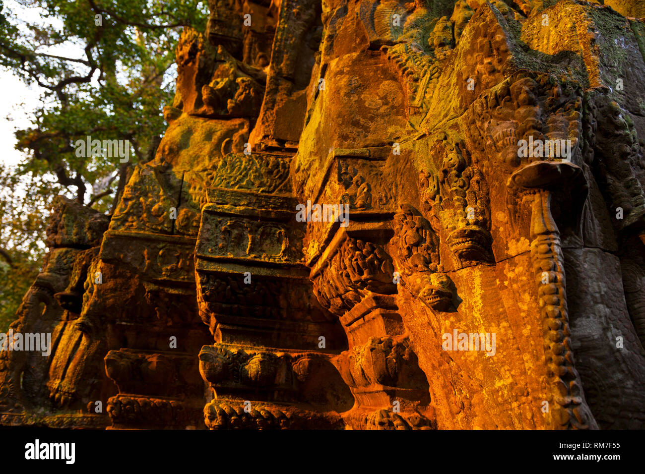 Ta Phrom Temple. Angkor. Siem Reap town, Siem Reap province. Cambodia ...