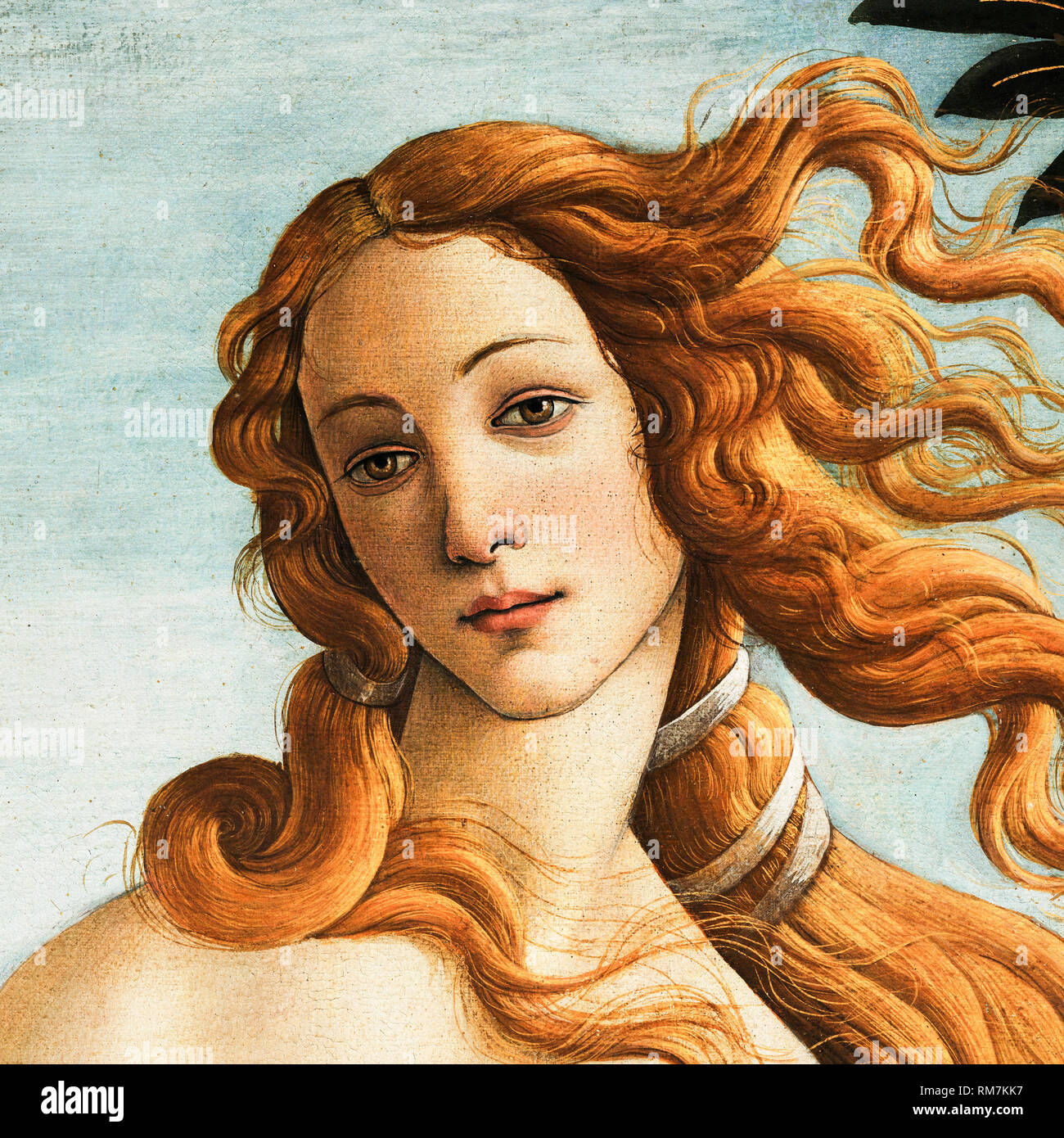 Venus head and shoulders detail from The Birth of Venus painting by Sandro Botticelli, circa 1484-86 Stock Photo