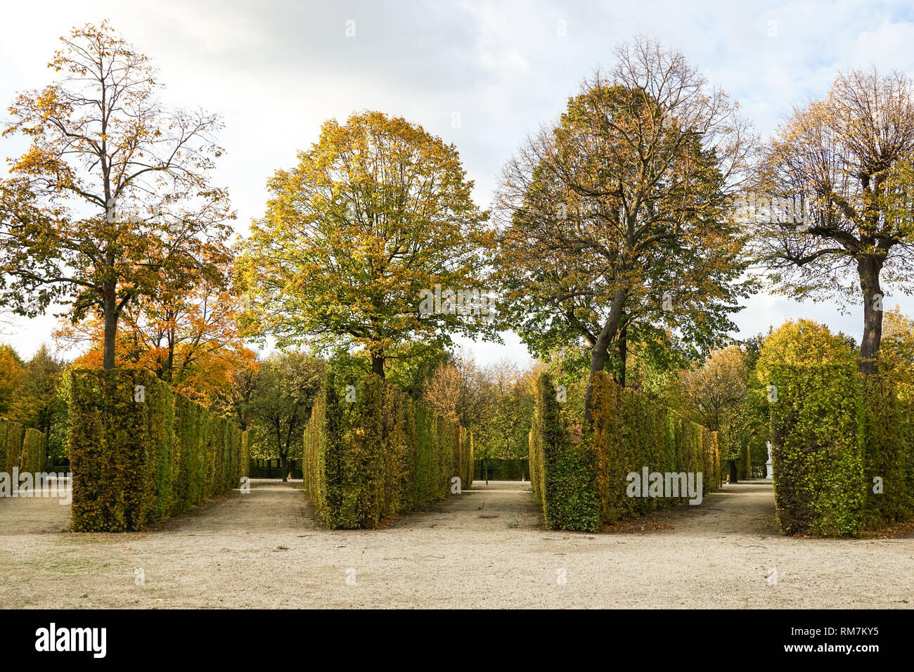 Trimmed and shaped shrubs in the Schönbrunn Palace gardens in Vienna, Austria Stock Photo