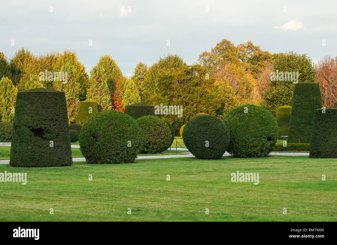 Trimmed and shaped shrubs in the Schönbrunn Palace gardens in Vienna, Austria Stock Photo