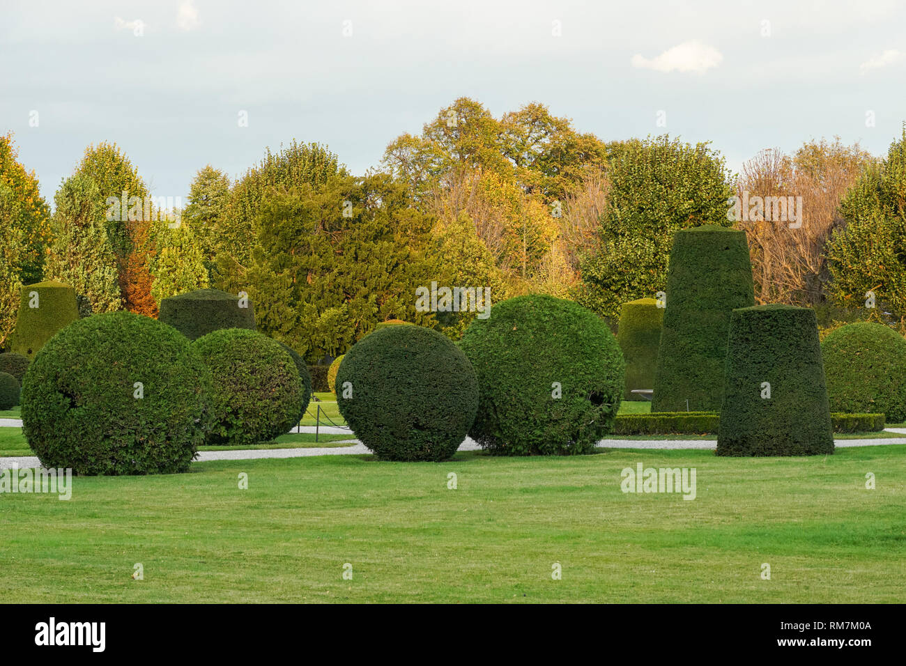 Trimmed and shaped shrubs in the Schönbrunn Palace gardens in Vienna, Austria Stock Photo