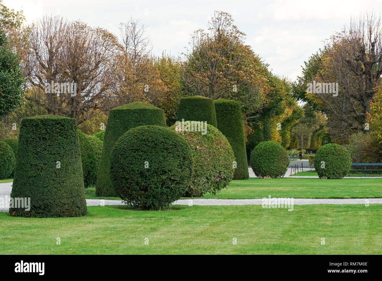 Trimmed and shaped shrubs in the Schönbrunn Palace gardens in Vienna, Austria Stock Photo