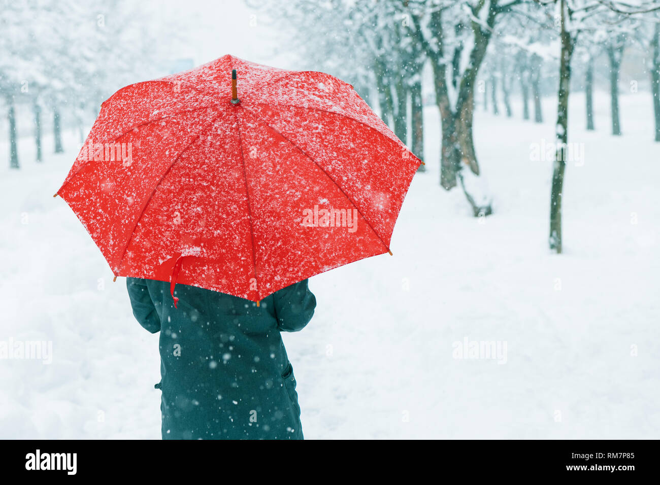 Woman With Red Umbrella In Snow Enjoying The First Snowfall Of The Winter Season Stock Photo Alamy