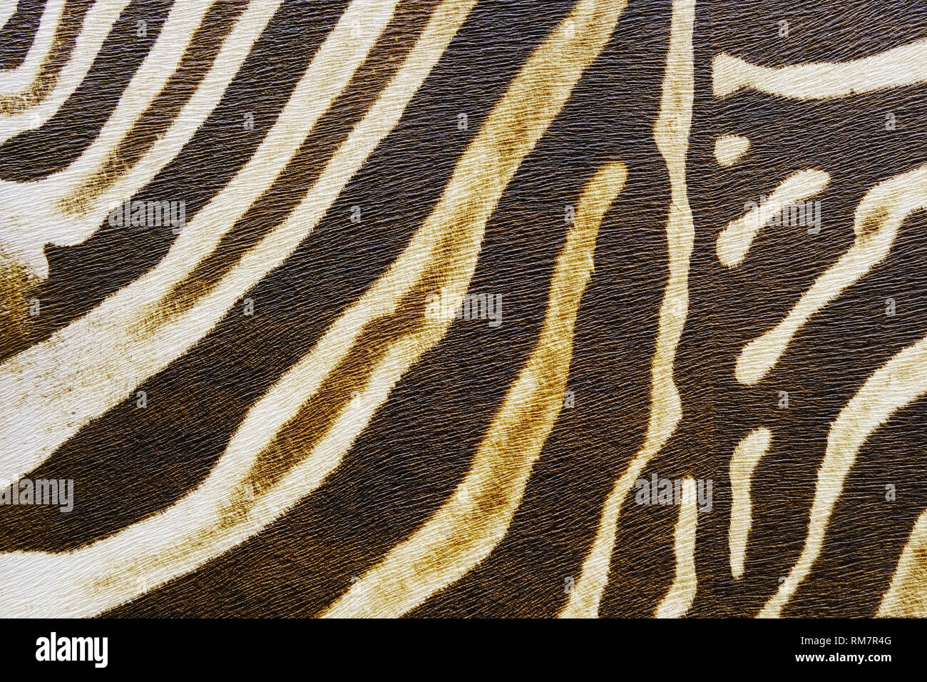 seamless Zebra fur texture background.High-resolution seamless texture Stock Photo