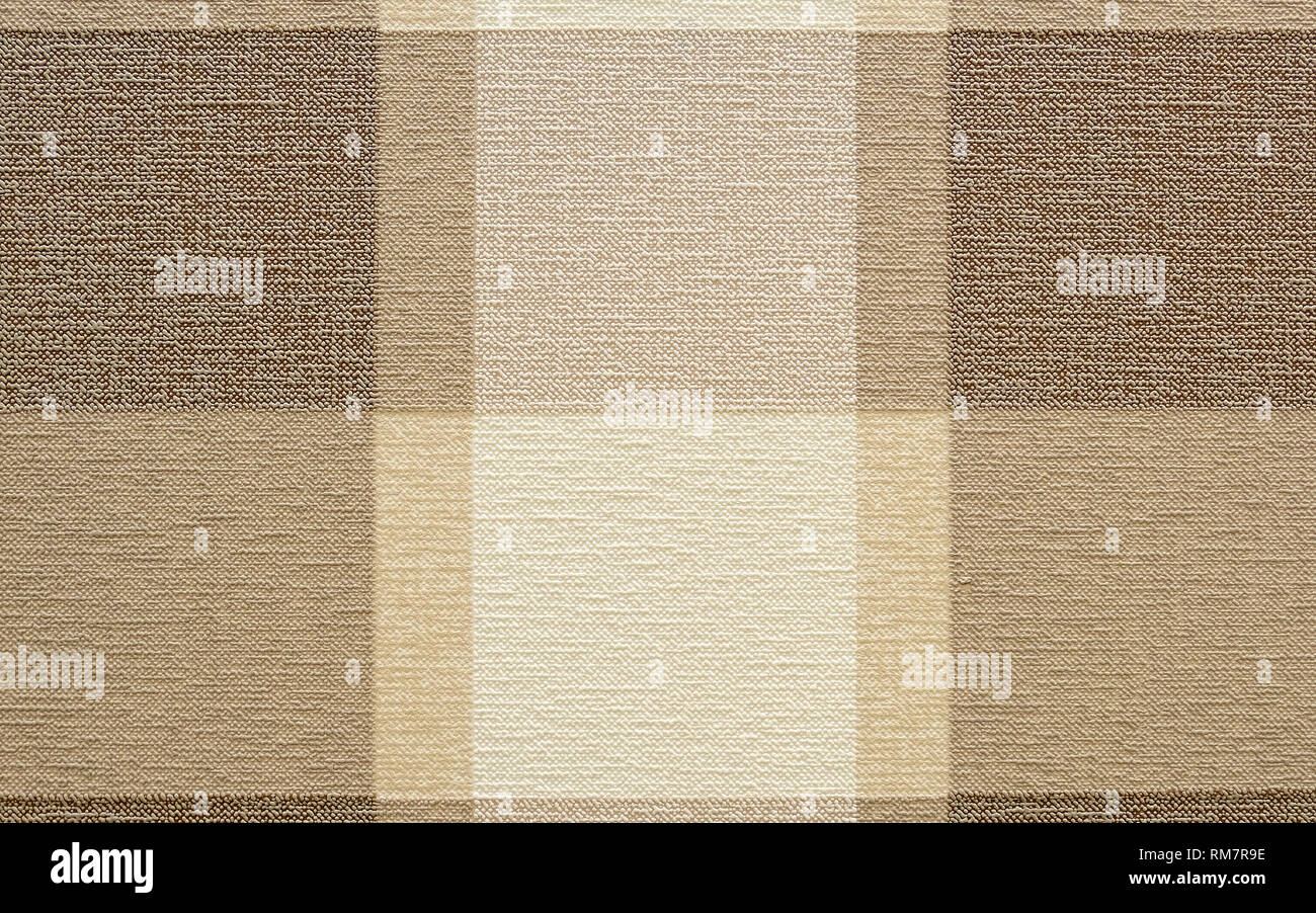 seamless Zebra fur texture background.High-resolution seamless texture Stock Photo
