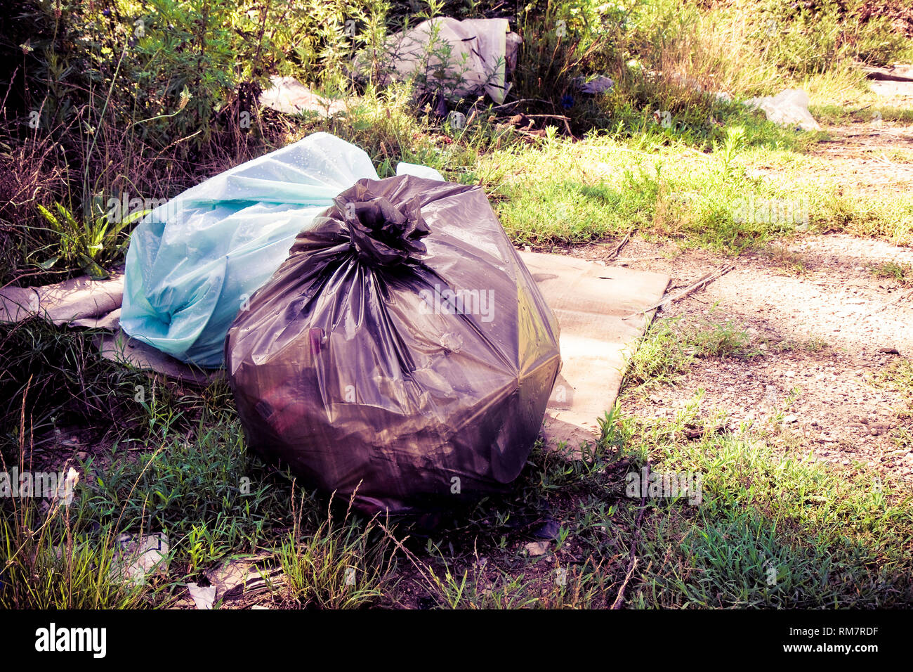 Illegal dumping with plastic bags abandoned in nature Stock Photo Alamy