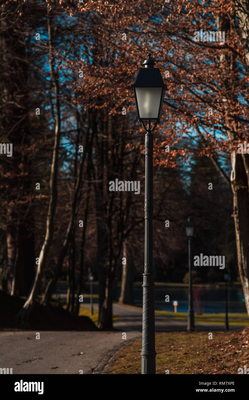 Street lamp in the park near Kranj, Slovenia Stock Photo