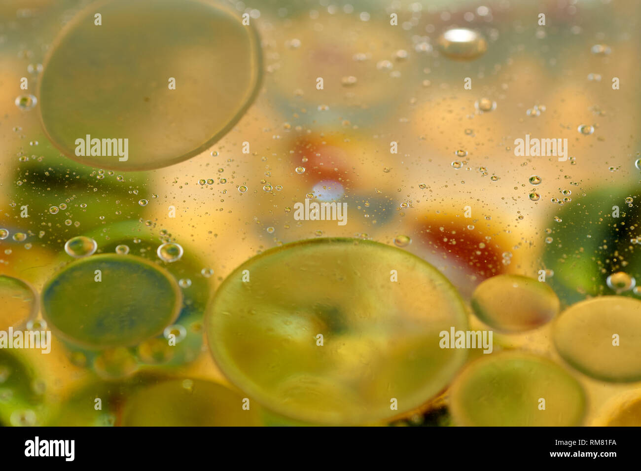 Download Floating In The Water Abstract Colorful Yellow Oil Drops Stock Photo Alamy Yellowimages Mockups