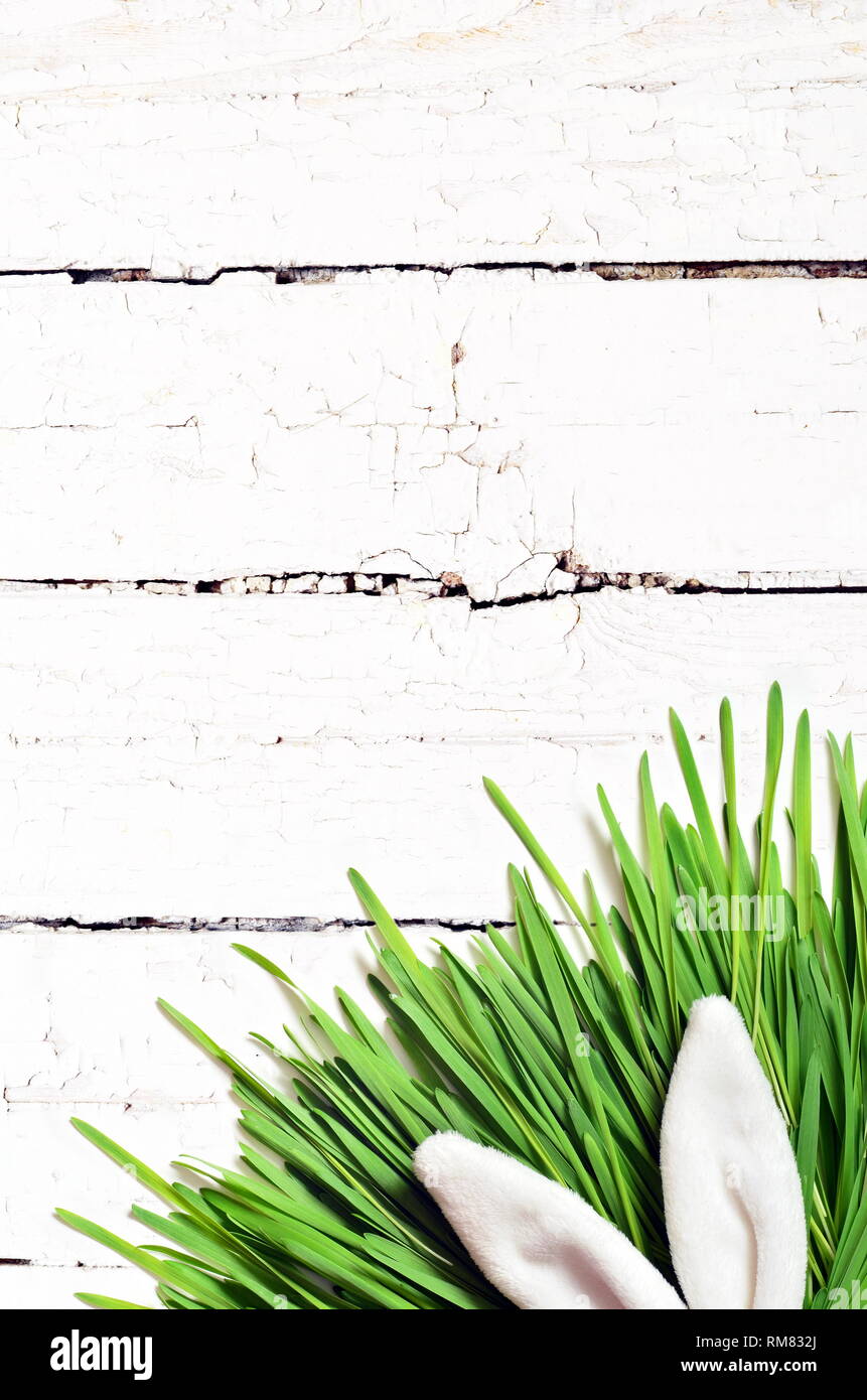 Easter funny bunny ears on green grass on wooden background. Easter background. Stock Photo