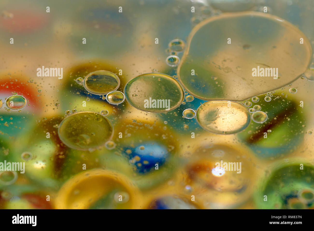 Download Floating In The Water Abstract Colorful Yellow Oil Drops Stock Photo 236206089 Alamy Yellowimages Mockups