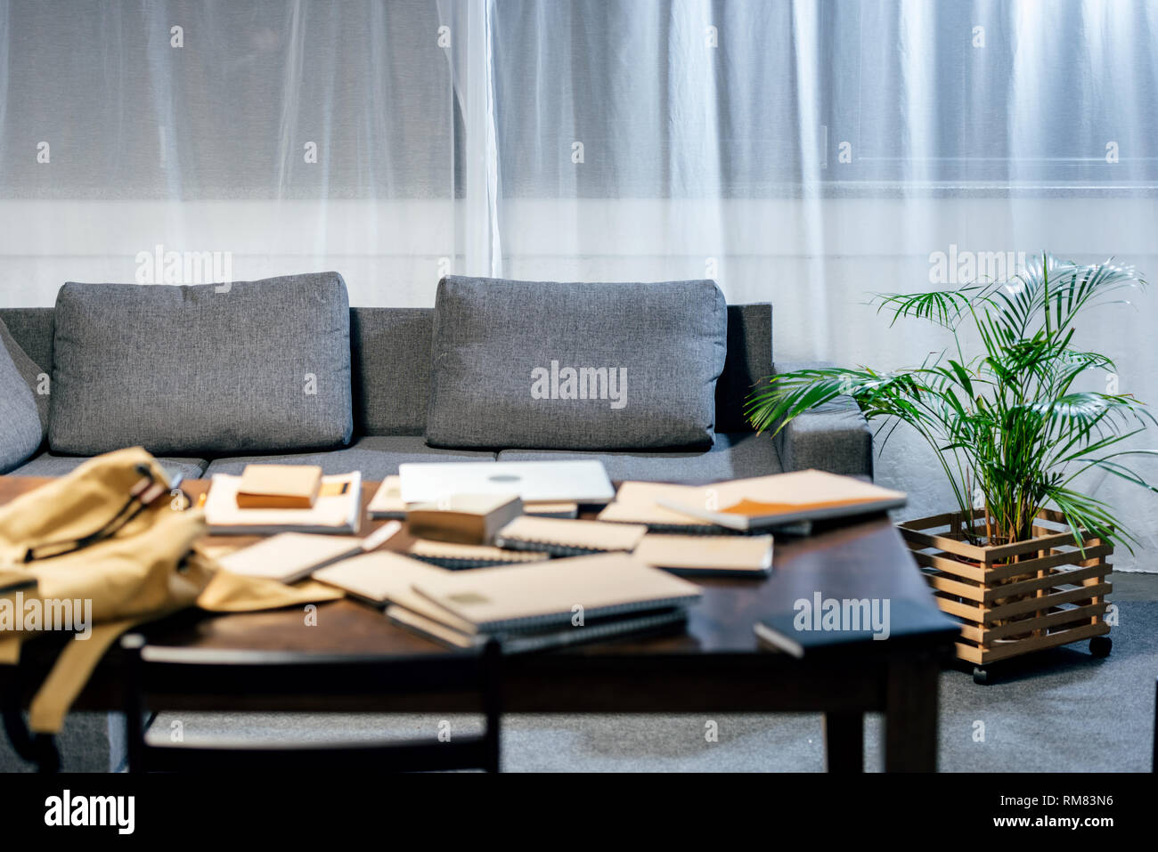 Selective Focus Of Books On Table In Living Room With Sofa And Plant Stock Photo Alamy