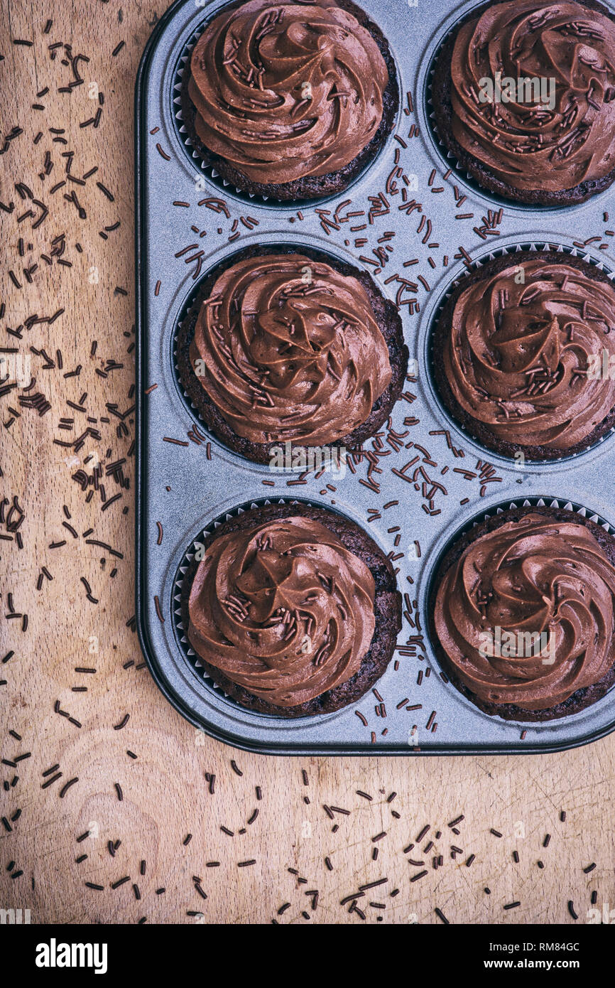Homemade Chocolate cupcakes in a muffin tin Stock Photo