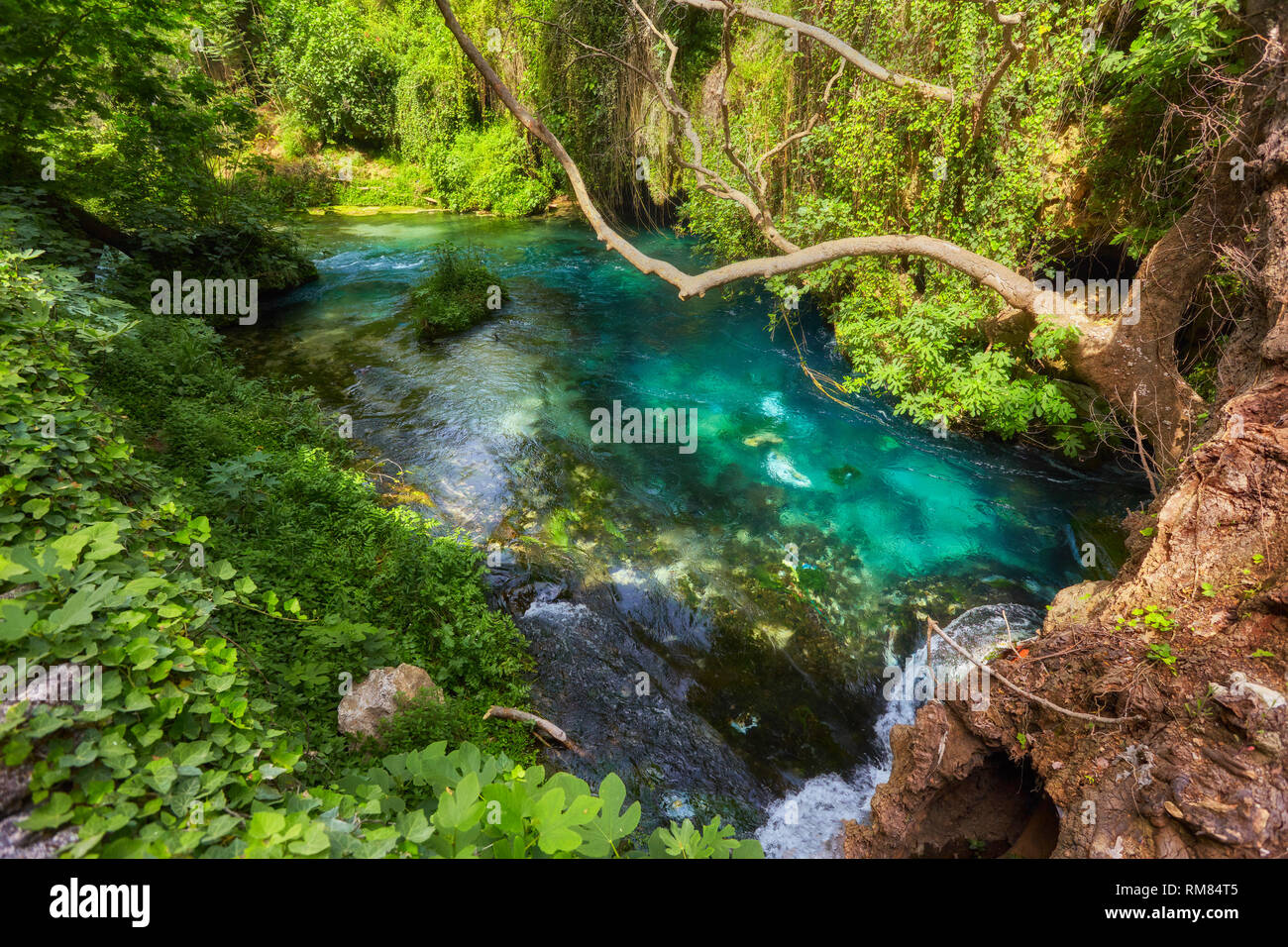 Pond With Clear Blue Water In Tropical Forest Stock Photo Alamy