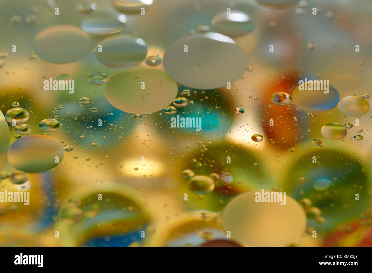 Download Floating In The Water Abstract Colorful Yellow Oil Drops Stock Photo Alamy Yellowimages Mockups