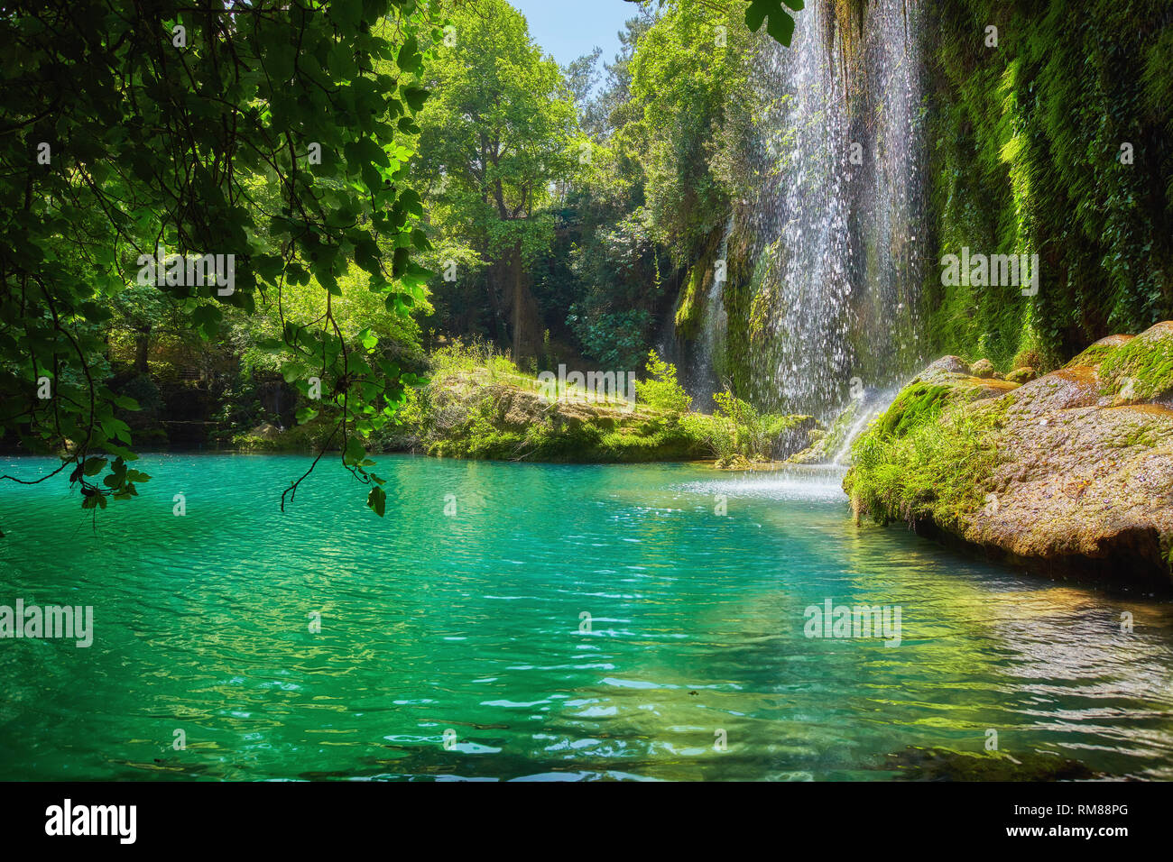 Pond with clear blue water in tropical forest Stock Photo