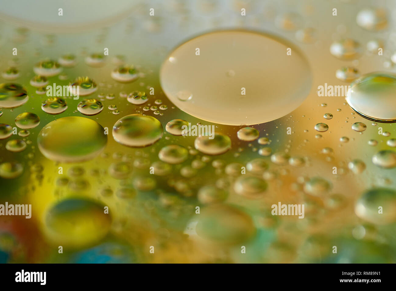Download Floating In The Water Abstract Colorful Yellow Oil Drops Stock Photo Alamy Yellowimages Mockups