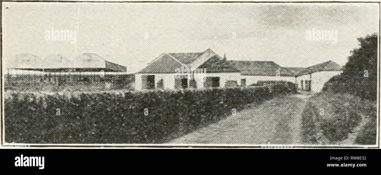 . Annual report of the Missouri State Board of Agriculture. Missouri. State Board of Agriculture; Agriculture -- Missouri. Dairy Suggestions from Europe. 191 the lioiisc on one side, with tlie cheese room and cow stable forming the side adjacent to tlie house, nnd connected with it. The hay barn forms another side, usually connected with the cow stalile, and the horse barn and tool shed are on the fourth side. The cow stable is always one story, with both windows and ventila- tors in the roof. The stalls are double and the cows head directly against the wall, with no feed alley in front. The f Stock Photo