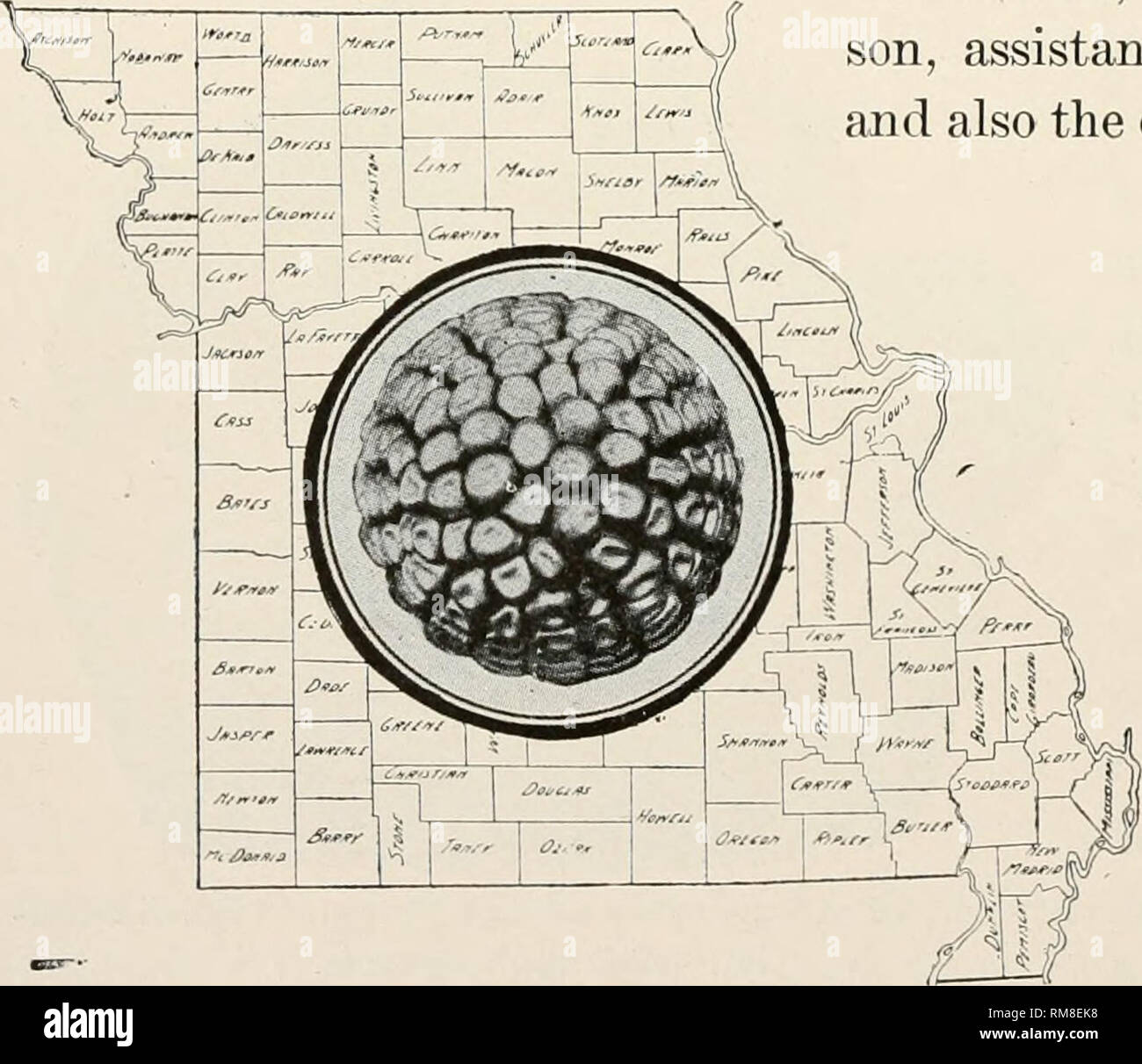 An Important Discovery Related To >> Annual Report Of The Missouri State Board Of Agriculture An Important Discovery Related To >> Annual Report Of The Missouri State Board Of Agriculture