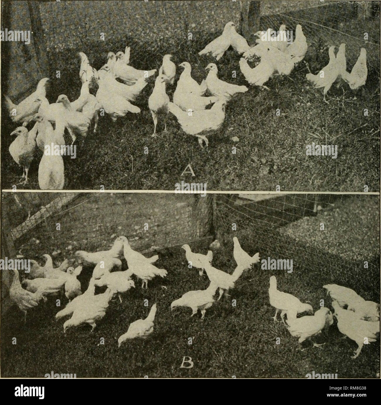 . Annual report of the Cornell University Agricultural Experiment ...