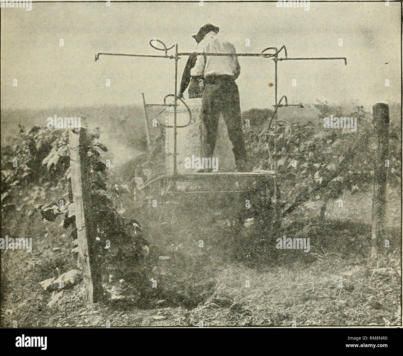 . Annual report of the Agricultural Experiment Station. Cornell