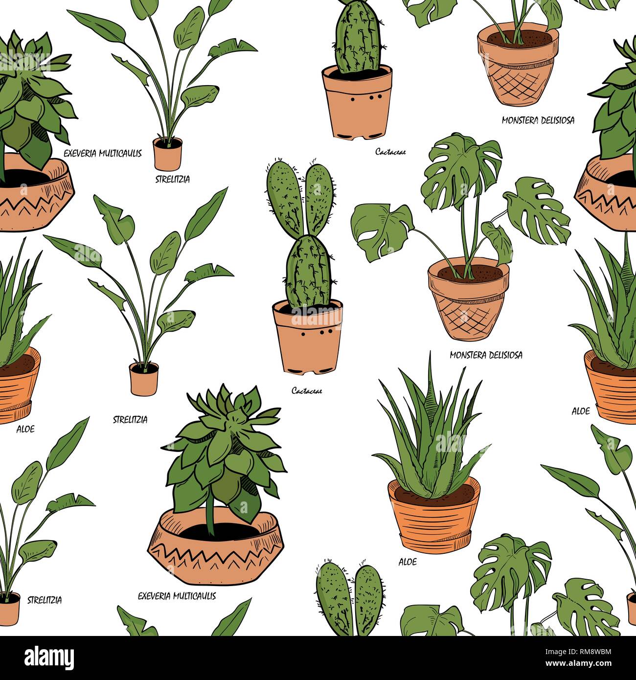 Color Houseplants Vector Pattern Of Hand Drawing Stock Vector Image And Art Alamy 1075