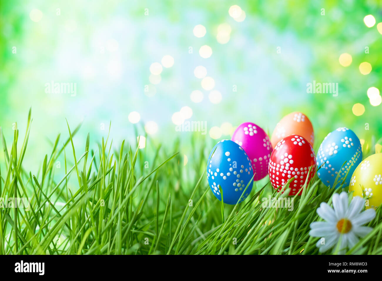 Easter eggs on green grass with bokeh and sunlight on a blue background ...