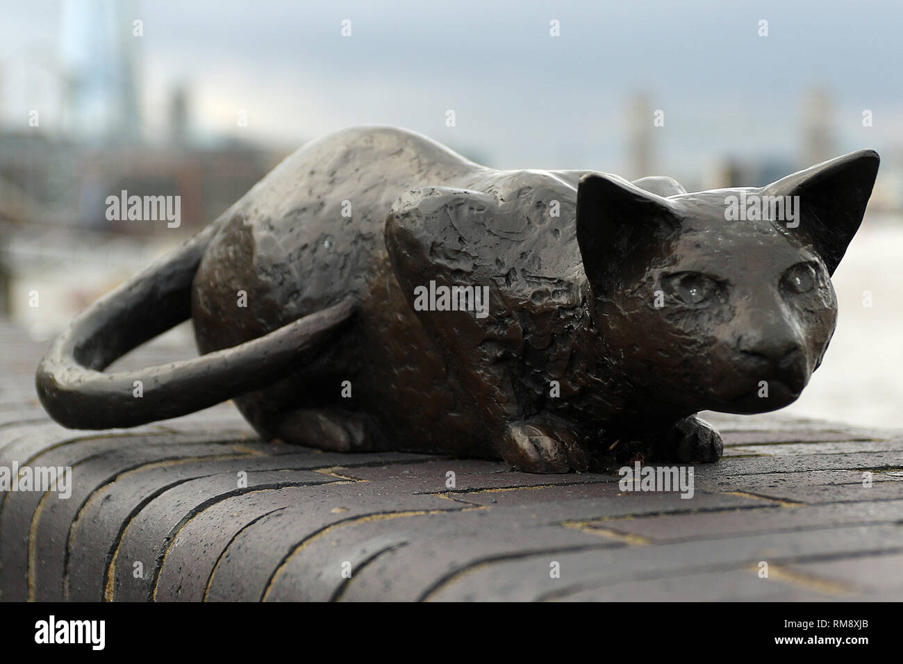 Statue of the cat of Dr Alfred Salter (16 June 1873 – 24 August 1945) in Bermondsey who was a British medical practitioner and Labour Party politician. Stock Photo